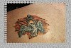 145tatsbyjak.jpg